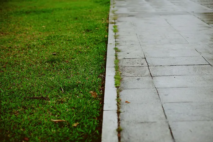 A mown lawn meeting the straight edge of a concrete path.